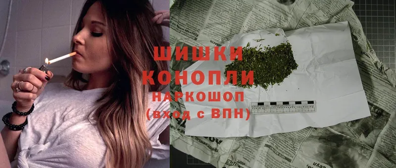 купить закладку  Опочка  Бошки марихуана THC 21% 